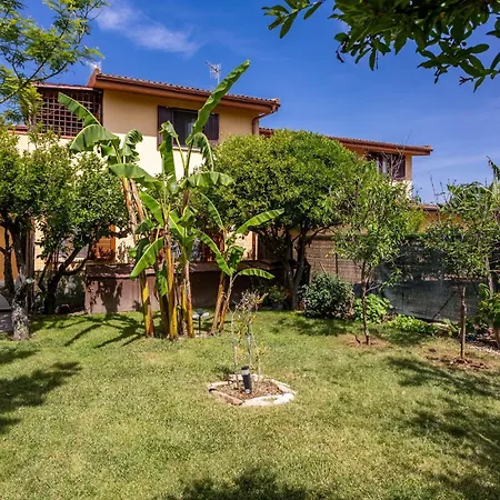 Long House Apartman *