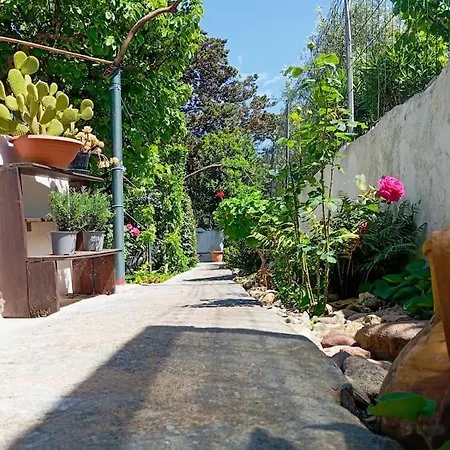 Apartment Long House Sorso