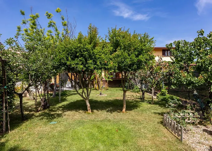 Apartament Long House